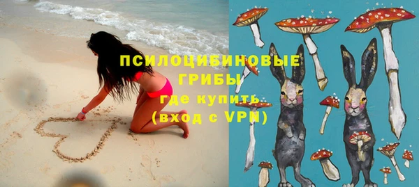 не бодяженный Белокуриха